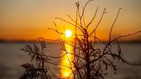 Złote Ogonki i jezioro Święcajty pierwszego dnia wiosny 2020 - zdjęcie 38