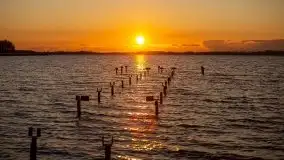 Złote Ogonki i jezioro Święcajty pierwszego dnia wiosny 2020 - zdjęcie 37