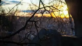 Zachód przy zwalony moście i jeziorze Patelnia, Kruklanki 03.2020 - zdjęcie 15