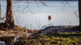 Marcowy zachód słońca nad jeziorem Dargin, Nowy Harsz - zdjęcie 48