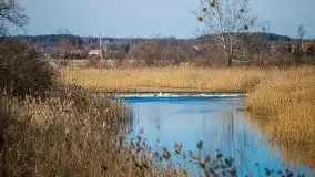 Jezioro Białoławki w marcowym słońcu - zdjęcie 13