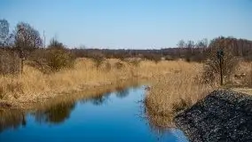 Jezioro Białoławki w marcowym słońcu - zdjęcie 14