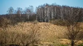 Jezioro Białoławki w marcowym słońcu - zdjęcie 19