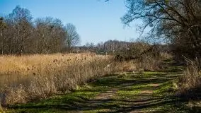 Jezioro Białoławki w marcowym słońcu - zdjęcie 27