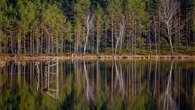 Jezioro Wesołek w marcu 2020 - zdjęcie 36