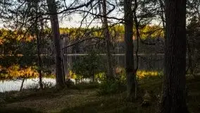 Jezioro Wesołek w marcu 2020 - zdjęcie 33