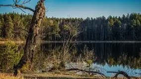 Jezioro Wesołek w marcu 2020 - zdjęcie 19