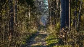 Jezioro Wesołek w marcu 2020 - zdjęcie 1