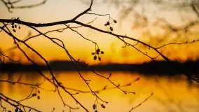 Wschód nad jeziorem Stręgielek, marzec 2020 - zdjęcie 11