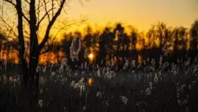 Jezioro Tałtowisko i kanał Grunwaldzki o zachodzie słońca - zdjęcie 11