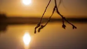 Pierkunowo i jezioro Kisajno w kwietniowym słońcu - zdjęcie 11