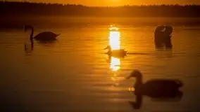 Pierkunowo i jezioro Kisajno w kwietniowym słońcu - zdjęcie 36