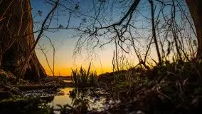 Pierkunowo i jezioro Kisajno w kwietniowym słońcu - zdjęcie 32