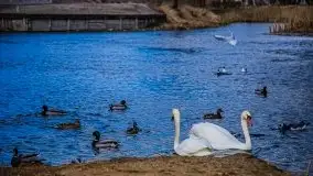 Pisz w kwietniowych promieniach słońca - zdjęcie 34