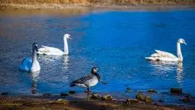 Pisz w kwietniowych promieniach słońca - zdjęcie 26