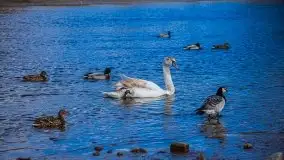 Pisz w kwietniowych promieniach słońca - zdjęcie 25