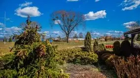 Pisz w kwietniowych promieniach słońca - zdjęcie 10