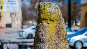 Pisz w kwietniowych promieniach słońca - zdjęcie 109