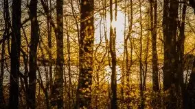 Odkrywamy na Mazurach jezioro Gawlik i Sołtmany - zdjęcie 18