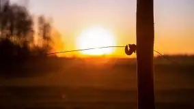 Odkrywamy na Mazurach jezioro Gawlik i Sołtmany - zdjęcie 25