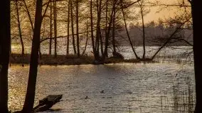 Złote jezioro Dejguny w kwietniowym słońcu - zdjęcie 4