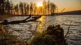 Złote jezioro Dejguny w kwietniowym słońcu - zdjęcie 10