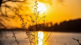 Złote jezioro Dejguny w kwietniowym słońcu - zdjęcie 23