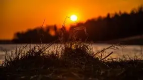 Złote jezioro Dejguny w kwietniowym słońcu - zdjęcie 40