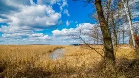 Śluza Karwik na początku kwietnia 2020 - zdjęcie 26