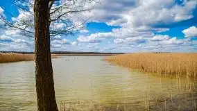 Śluza Karwik na początku kwietnia 2020 - zdjęcie 28