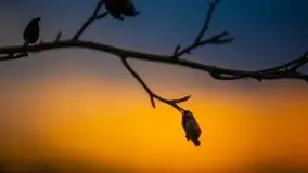 Zachód słońca na jeziorami Węgielsztyn i Rydzówka - zdjęcie 14