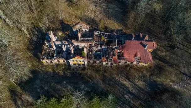 Ruiny Pałacu w Mieduniszkach Wielkich - zdjęcie 9