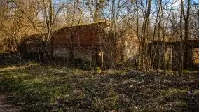 Ruiny Pałacu w Mieduniszkach Wielkich - zdjęcie 12