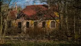 Ruiny Pałacu w Mieduniszkach Wielkich - zdjęcie 15