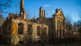 Ruiny Pałacu w Mieduniszkach Wielkich - zdjęcie 30