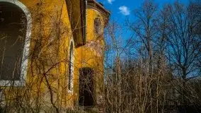 Ruiny Pałacu w Mieduniszkach Wielkich - zdjęcie 39