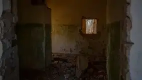 Ruiny Pałacu w Mieduniszkach Wielkich - zdjęcie 46