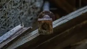 Ruiny Pałacu w Mieduniszkach Wielkich - zdjęcie 55