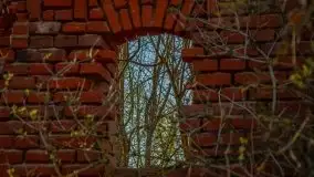 Ruiny Pałacu w Mieduniszkach Wielkich - zdjęcie 69