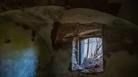 Ruiny Pałacu w Mieduniszkach Wielkich - zdjęcie 91