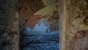 Ruiny Pałacu w Mieduniszkach Wielkich - zdjęcie 95