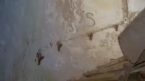 Ruiny Pałacu w Mieduniszkach Wielkich - zdjęcie 99