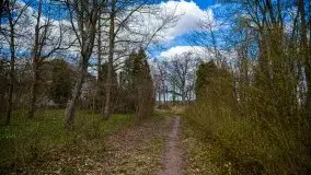 Pałac w Bęsi, na który rzucono klątwę - zdjęcie 23