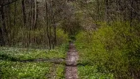 Pałac w Bęsi, na który rzucono klątwę - zdjęcie 42