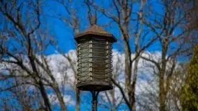 Pałac w Bęsi, na który rzucono klątwę - zdjęcie 47