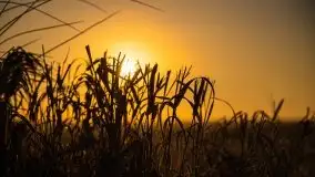 Wschód słońca w Giżycku, ul. Obwodowa - zdjęcie 7