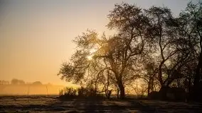 Wschód słońca w Giżycku, ul. Obwodowa - zdjęcie 9