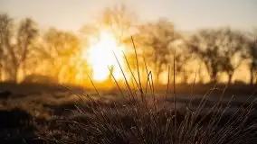 Wschód słońca w Giżycku, ul. Obwodowa - zdjęcie 18