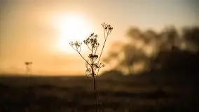 Wschód słońca w Giżycku, ul. Obwodowa - zdjęcie 12