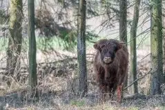 Zdjęcia: Mazurska wiosna na zdjęciach Janka Olchówki - zdjęcie 17